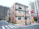 フレイム テラスの間取り画像