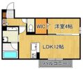 Island御開の間取り画像