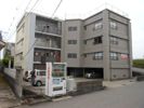 弥生マンションの間取り画像