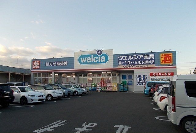 ウエルシア中町店まで550m