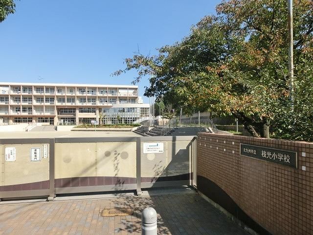 枝光小学校(743m)