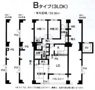 アーヴァイン山太の間取り画像