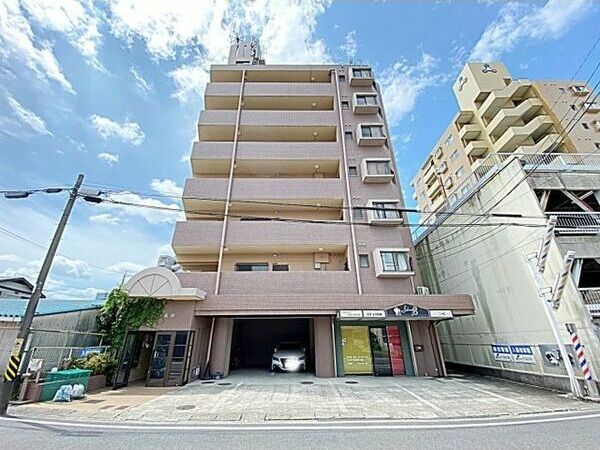 アモール高針の外観画像