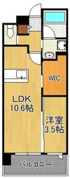仮称）PINOCCHIO長尾マンションの間取り画像