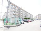 エメラルドタウン本城F棟 501号室の間取り画像
