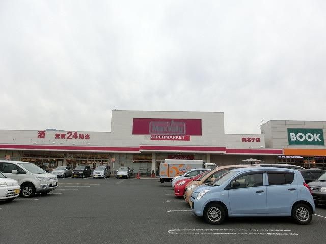 マックスバリュ真名子店 (452m)