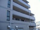 コートM3の間取り画像