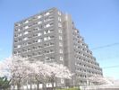 ガーデン蒲田の間取り画像