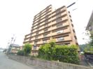 サントノーレ石手の間取り画像