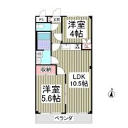 メゾンエクセルの間取り画像