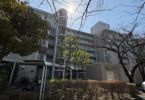 菊名ハイツ1号棟の間取り画像