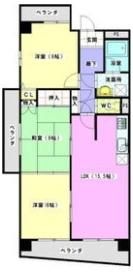 ヒルズ丸和の間取り画像