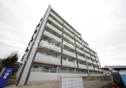 ブランドゥースの外観画像