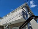 ミュゼハイツの間取り画像