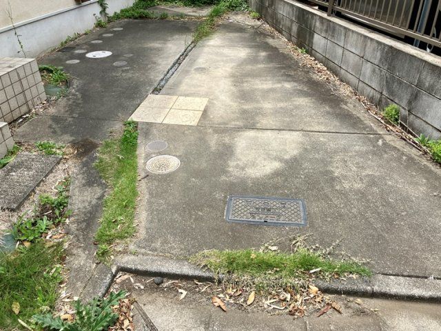 庭