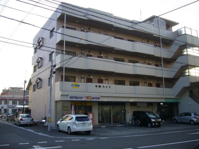 中洲ハイツの外観画像