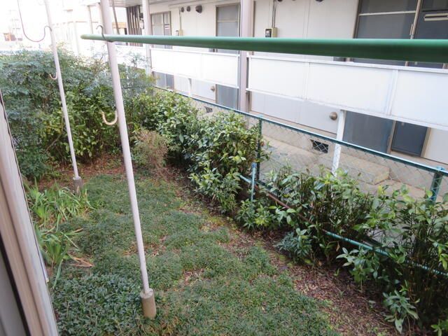 庭
