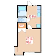 ドームセブンスターの間取り画像