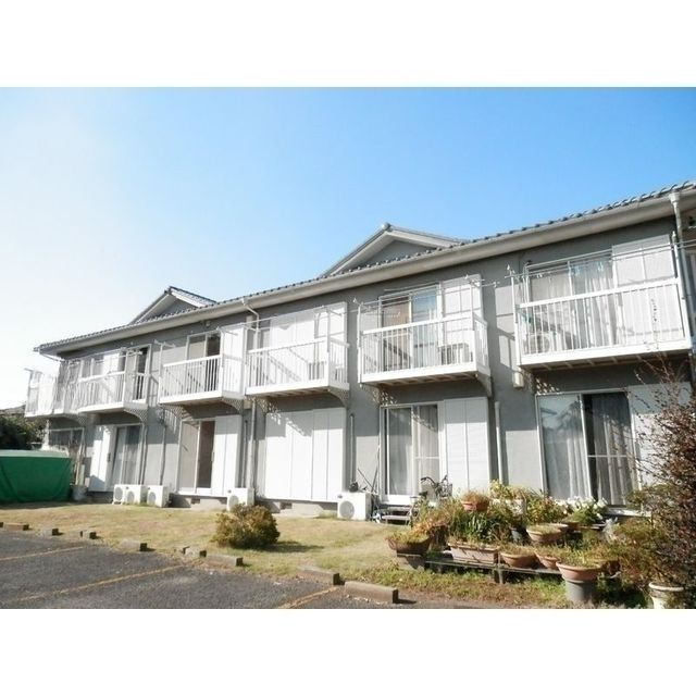 シクラメンの外観画像