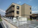 Pleiades C棟の間取り画像