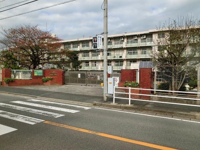 赤崎小学校(290m)