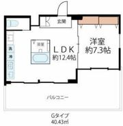 ドミール池上の間取り画像