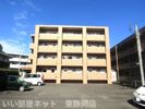 シャテロ巴の間取り画像