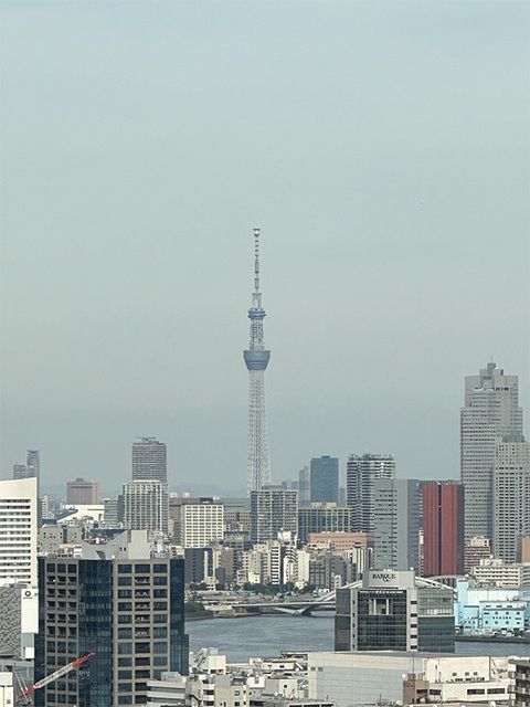 眺望
