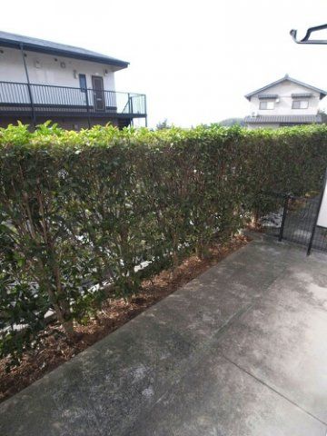 庭