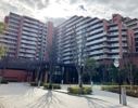 シティテラス東陽町の間取り画像