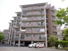 紅梅台ハイツ 604の間取り画像