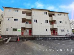 ペットフォレスト大宮の外観画像