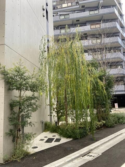 庭