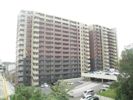 サンパーク鉄王 1505号室の間取り画像