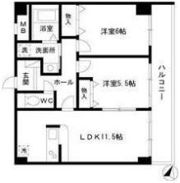 ウィル猫洞の間取り画像