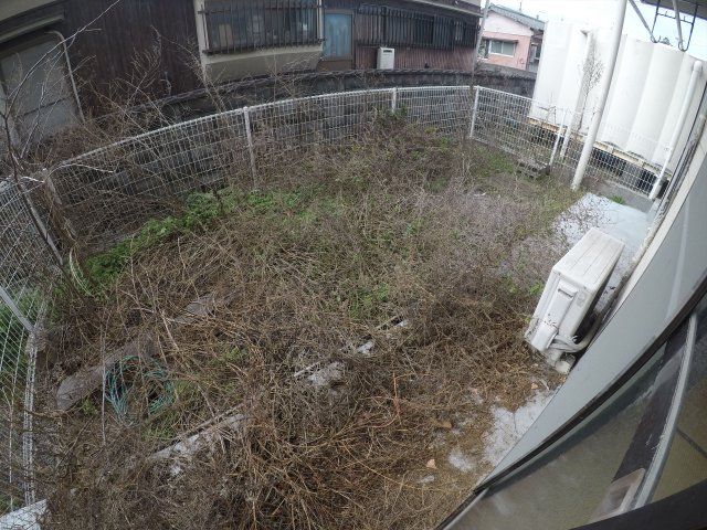 庭