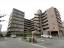 ファミール津島の間取り画像
