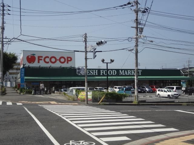 FCO-OP(523m)