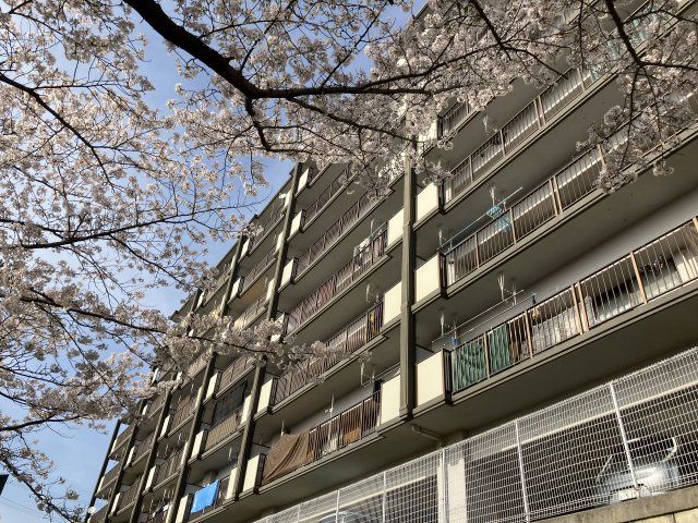 エクレール自由ヶ丘の外観画像