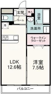 SOLEADOの間取り画像