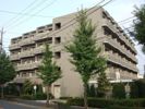 CASSIA平井の間取り画像