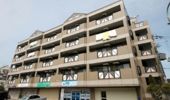 ビエンフェオークラⅡの間取り画像