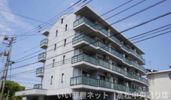 スカイハイの外観