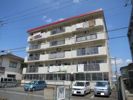 奥田パークハイツの間取り画像