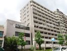 KAISEI新神戸の間取り画像