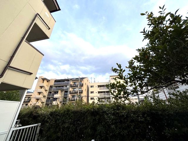 眺望