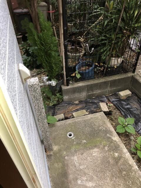 庭