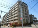 ウェリス持田レジデンスの間取り画像