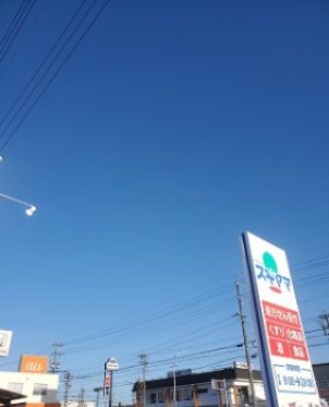 ドラッグスギヤマ千代田店(ドラッグストア)まで730m