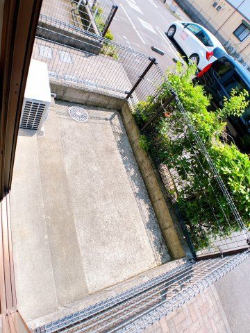 庭